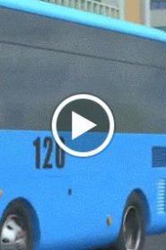 مغامرات تايو مدبلج