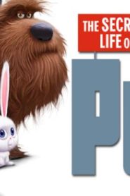 فيلم الكرتون الحياة السرية للحيوانات الأليفة | The Secret Life of Pets 2016 مترجم عربي
