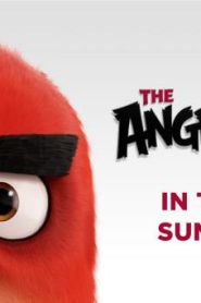 فيلم الكرتون أنجري بيردز The Angry Birds Movie 2016 مترجم عربي