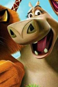 فيلم كرتون مدغشقر – Madagascar مترجم عربي من mbc3