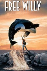 فيلم Free Willy إطلاق سراح ويلي مدبلج من كرتون نتورك بالعربي