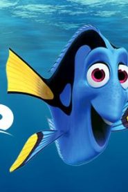 شاهد فيلم Finding Nemo البحث عن نيمو مدبلج لهجة مصرية