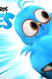 كرتون الطيور الغاضبة الزرقاء