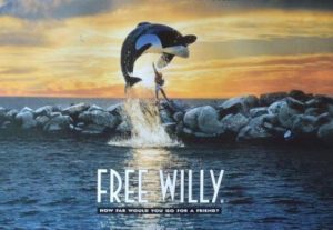 فلم إطلاق سراح ويلي Free Willy مدبلج عربي