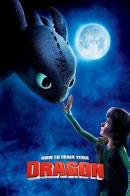فلم How to Train Your Dragon كيف تروض تنينك مدبلج عربي