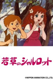 كرتون شهلاء اليتيمة مدبلج عربي