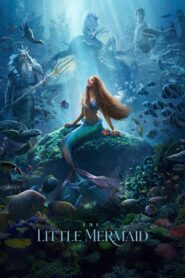 فيلم The Little Mermaid مدبلج عربي