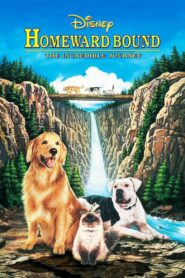 فيلم Homeward Bound: The Incredible Journey مدبلج عربي