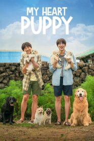فيلم My Heart Puppy مترجم عربي
