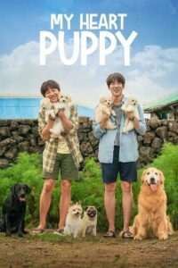فيلم My Heart Puppy مترجم عربي