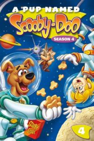 A Pup Named Scooby-Doo: Season 4