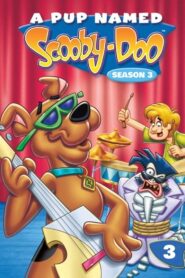 A Pup Named Scooby-Doo: Season 3