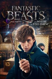 فيلم الوحوش المذهلة وأين تجدها Fantastic Beasts and Where to Find Them مترجم عربي